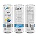 CELSIUS Fizz Free Blue Razz Lemonade, Sugar Free Energy Drink, 12 Fl Oz (Pack of 12)