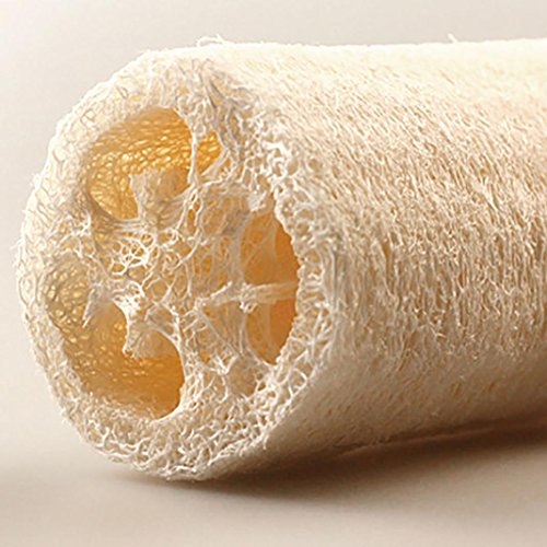 6 Stks Natuurlijke Loofah Luffa Bad Lichaam Douche Loofa Spons Keuken Schotel Spons Scrubbers Cleaing Borstel Schrobben… - Image 7