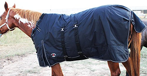 Image of Challenger 1200D Turnout Waterproof Horse Heavy Winter Blanket w /Bellyband Black 551B