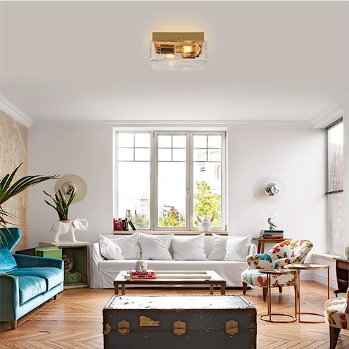 2-Light Flush Mount Ceiling Light Fixture, Gold Ceiling Light With Clear Glass Shade, Modern Light Fixtures Ceiling For Dining Room Living Room Kitchen Bedroom Bulb Not Included #TOP6