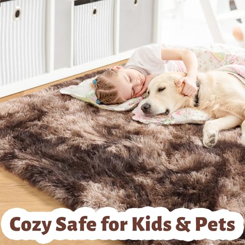 Amdrebio Tie-Dyed Brown Rugs for Bedroom Living Room, 5x7 Fluffy Shaggy Plush Area Rugs for Kids Room Decor Aesthetic, Fuzzy Furry Floor Thick Carpet for Classroom Playroom Preppy Dorm Baby Nursery