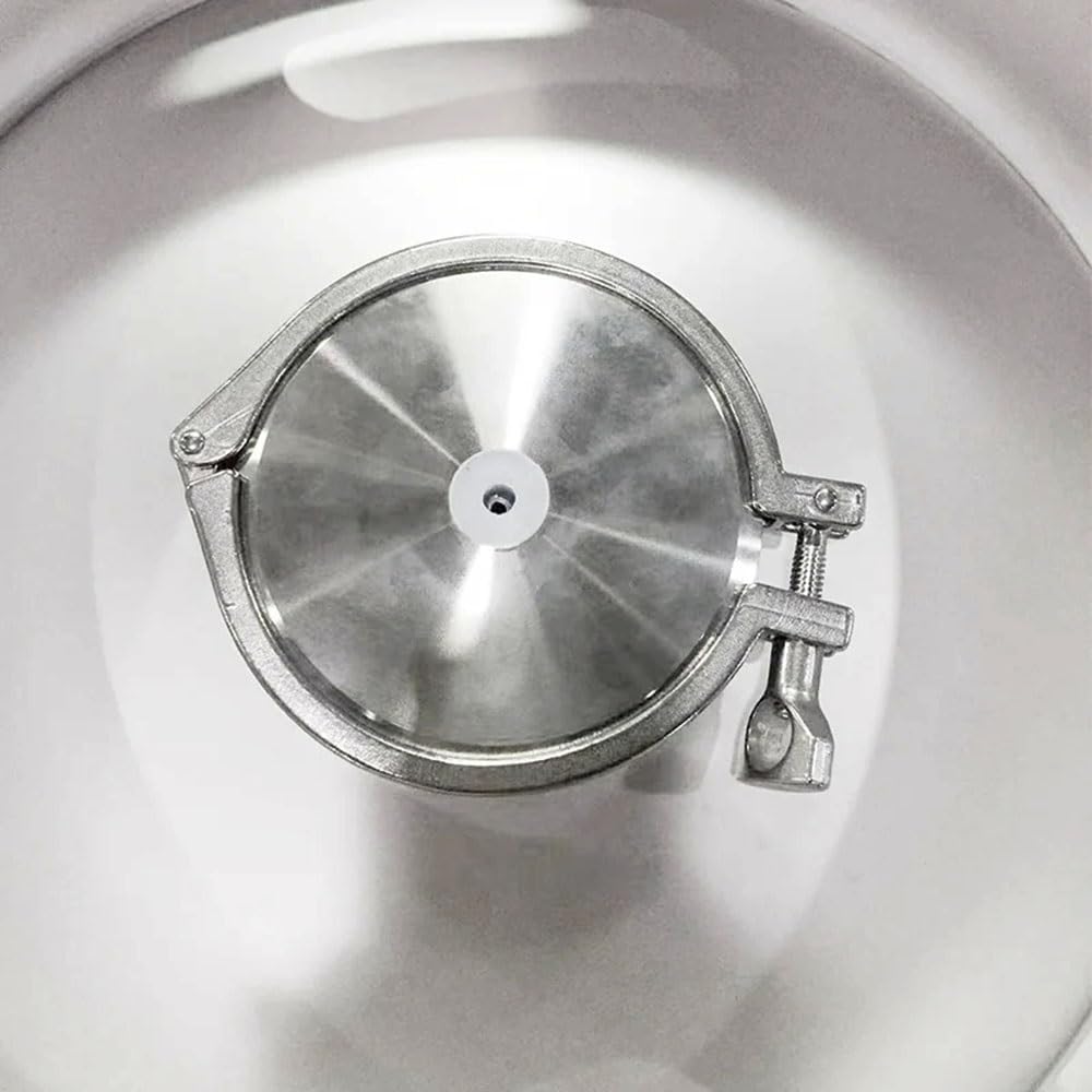 Fusto for Vino, Argento 30/58L 1/2 BBL, Serbatoio for Birra Artigianale in Acciaio Inossidabile 304(30L Just Keg Only)