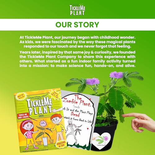 Zombie Plant Seed Packets – Grow a Live Sensitive Plant That Plays Dead When Touched! Indoor Plant Seeds & Educational STEM Activity | House Plant Seeds | Unique Garden Seeds – 2 Pack