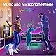 Bonve Pet LED Strip 30M,Bluetooth RGB LED Streifen,Farbwechsel LED Lichterkette 30M mit Fernbedienung und App,Led Leiste Musik Sync,Timer-Einstellung,LED Band für Gaming Zimmer, Room, Küche,Party