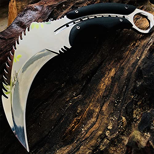 Rhinosteel Custom Eagle Beak Design Heavy Collect Gift Full Tang Karambit Knife D2 Steel Stonewash & Mirror Fixed Blade Outdoor Camping,Tactical ,Survival,Hunting Knives -Leather Sheath (Mirror) #TOP5