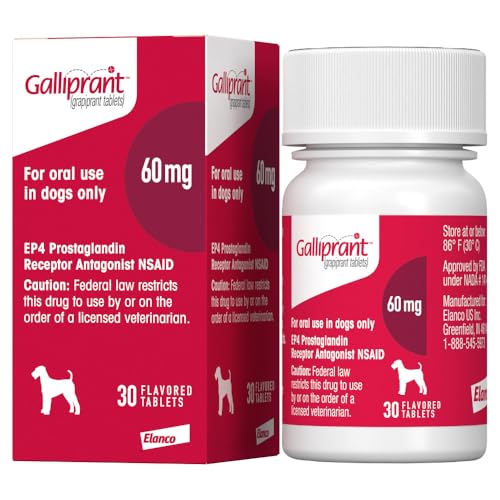 Galliprant Osteoarthritis Pain & Inflammation Control for Dogs | 60mg | 30 Flavored Tablets