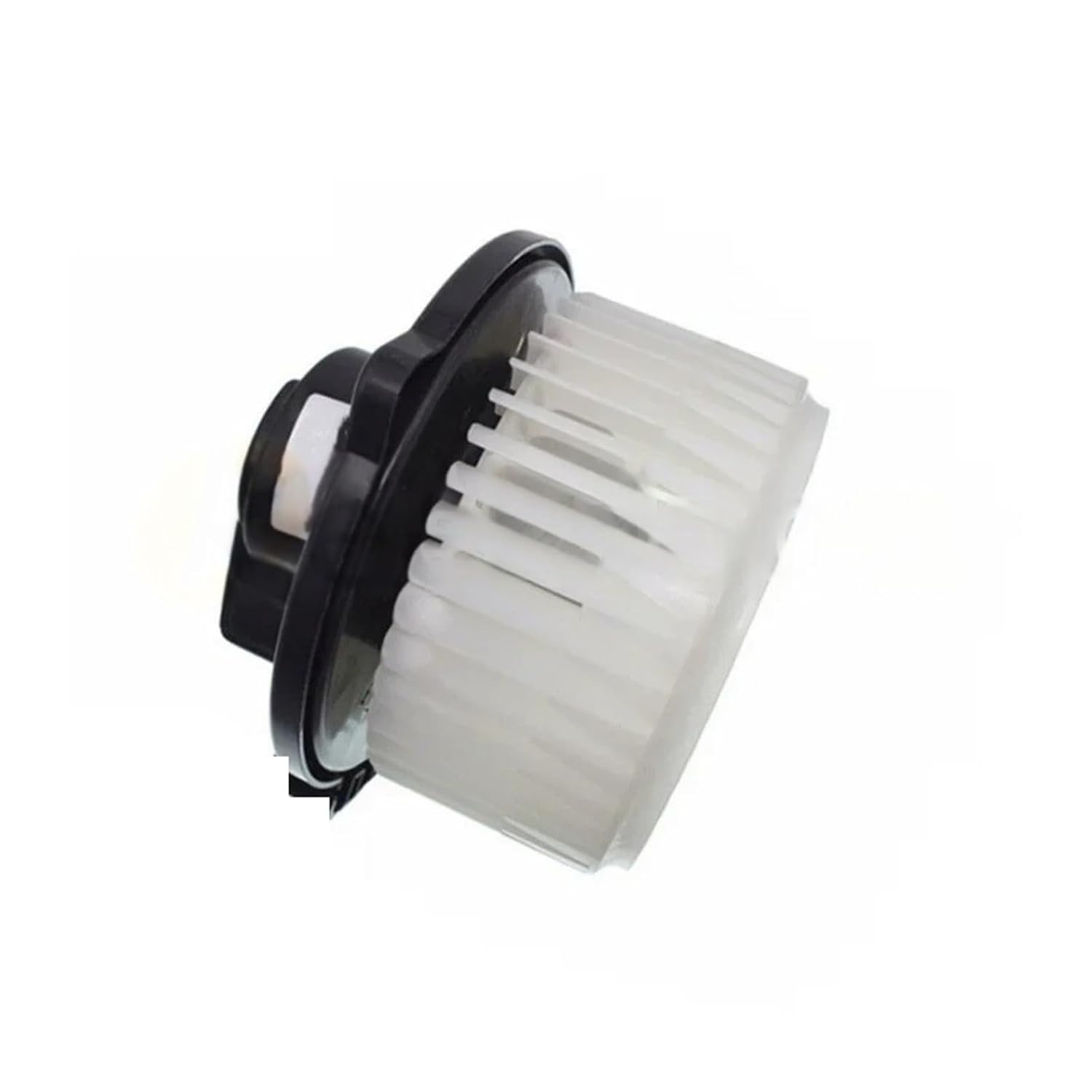 ラジエターコアプロテクター トライアンフトライデント 660