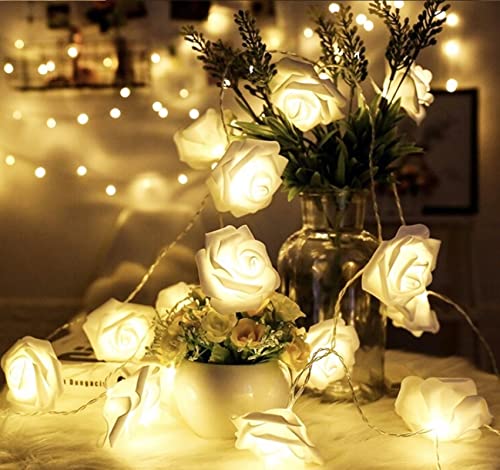 Guirlande de roses lumineuses Aquamie le cadeau d'anniversaire idéal pour décoration de chambre