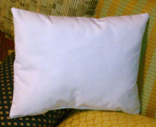 ReynosoHomeDecor 14x20 Pillow Insert Form
