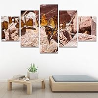 SIGNWIN 5 Panel Canvas Wall Art Modern Art Ants Butterfly Colorful Insects Minimalist Multicolor Photography for Home Decorations Ready to Hang - 60