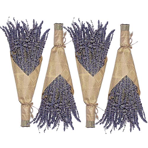 Cedar Space Lavender Dried Flowers 4 Bunches Dried Lavender Ideal...