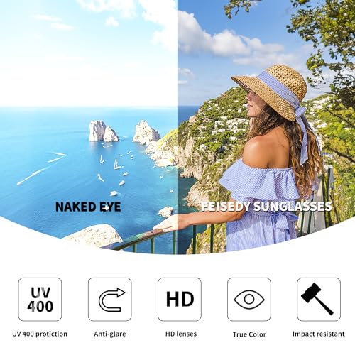 FEISEDY Retro Aviator Sunglasses for Women Men 70s Classic Vintage Shades Trendy Square Sun Glasses B02533