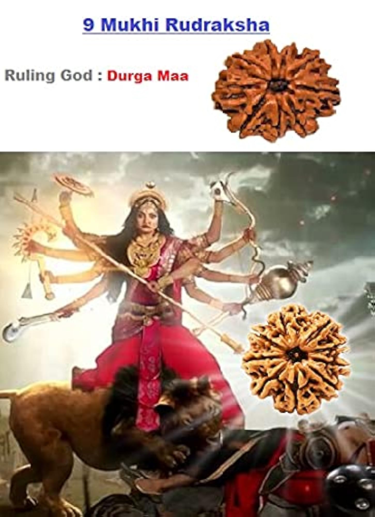 9 Mukhi Nepali Rudraksha Brown Holy Beads Certified