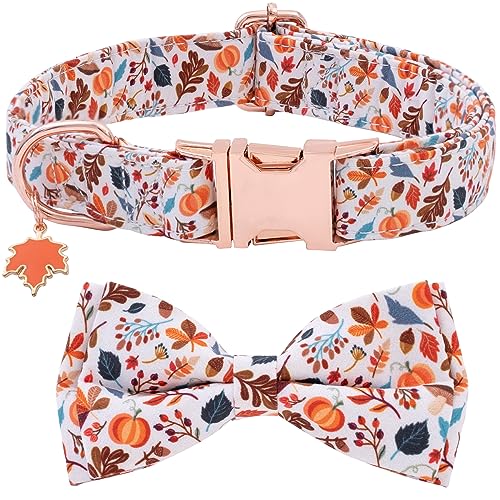 Herbst Hundehalsbänder Für Große Hunde – 2er Set Mit Ahorn & Blumenmuster, Verstellbar & Weich