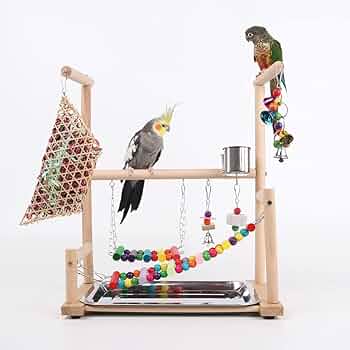 【モコ】ことりのおおきなあそびば マコ】ことりのおおきなあそびば マコ】ことりのおおきなあそび