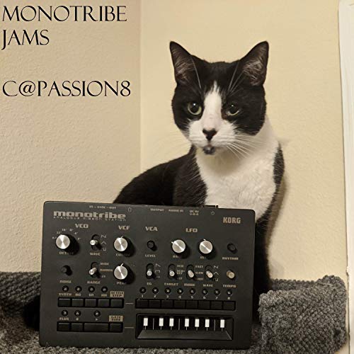  Monotribe Jams