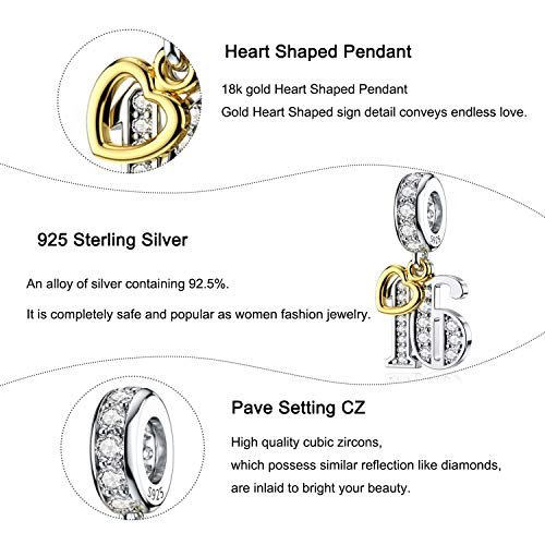 JIAYIQI Birthday Charm Fit Charm Bracelets Necklace, 925 Sterling Silver Pendants Beads for Women Jewelry3
