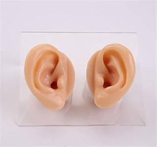 Akatsukiqi 1/2 piezas modelo de oreja recogiendo modelo enseñanza dedicado canal auditivo largo simulación silicona canal auditivo profundo práctica de recopilación de oído (color: blanco marfil)