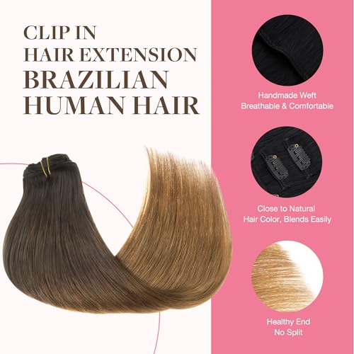 Image of GOO GOO Clip in Hair Extensions Real Human Hair, Remy Human Hair Extensions Clip ins for Women, Natural Human Hair, 18inch 150g 9Pcs, 1D /2C /4E Chocolate Dip Color Melt