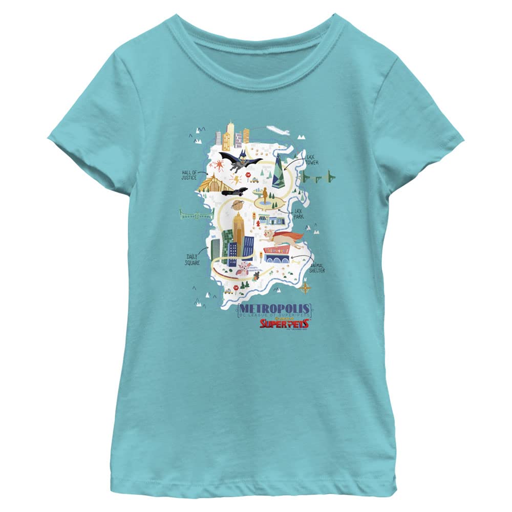T-shirt DC Comics avec imprimé Metropolis résistant et col rond