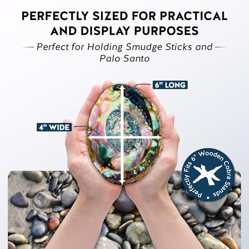 Alternative Imagination Hand Selected Abalone Shell - 6 Inches or Larger - Polished Mother-of-Pearl Interior - Flame-Proof Dish for Incense, Smudge Sticks, Trinkets, Crystal Display & Home Decor