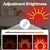 Orange Sunrise Neon Sign, Attivolife Light up Sun LED Wall Decor Lamp, Ideal for Home Living Room Cafe Shop Bar Party, Decoration with Dim USB Powered, Christmas Day Birthday Present for Kids Friend #1