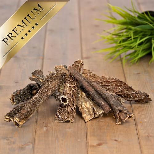 Lyra Pet® 5 kg Rinderpansen groß getrocknet 12-15 cm | Naturbelassener Kausnack | Proteinhaltiges Leckerli auch für Welpen und ältere Hunde | Nährstoffreich | Schonend getrocknet