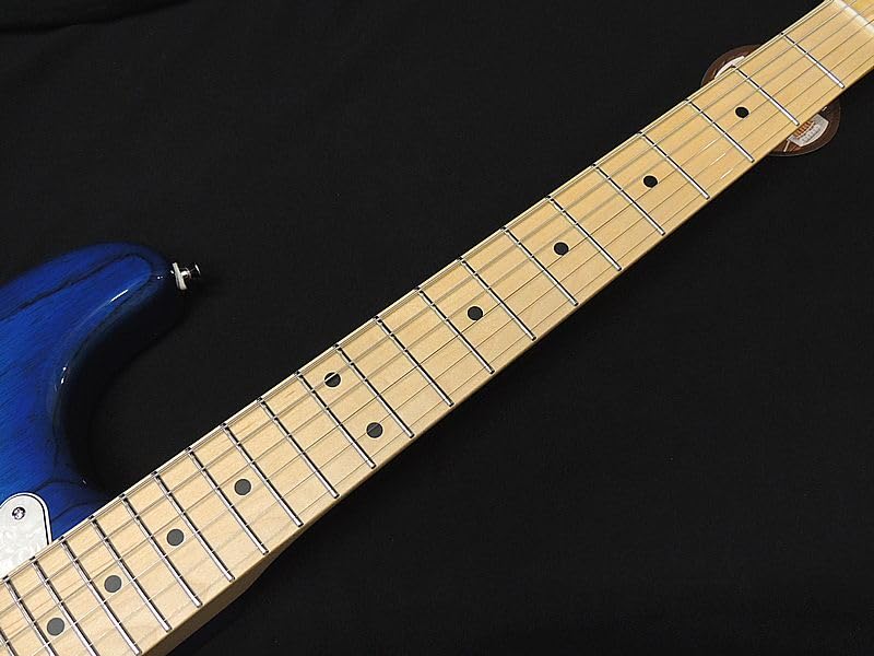 Amazon | FGN FUJIGEN NST110MAH SBB フジゲン Neo Classic SERIES