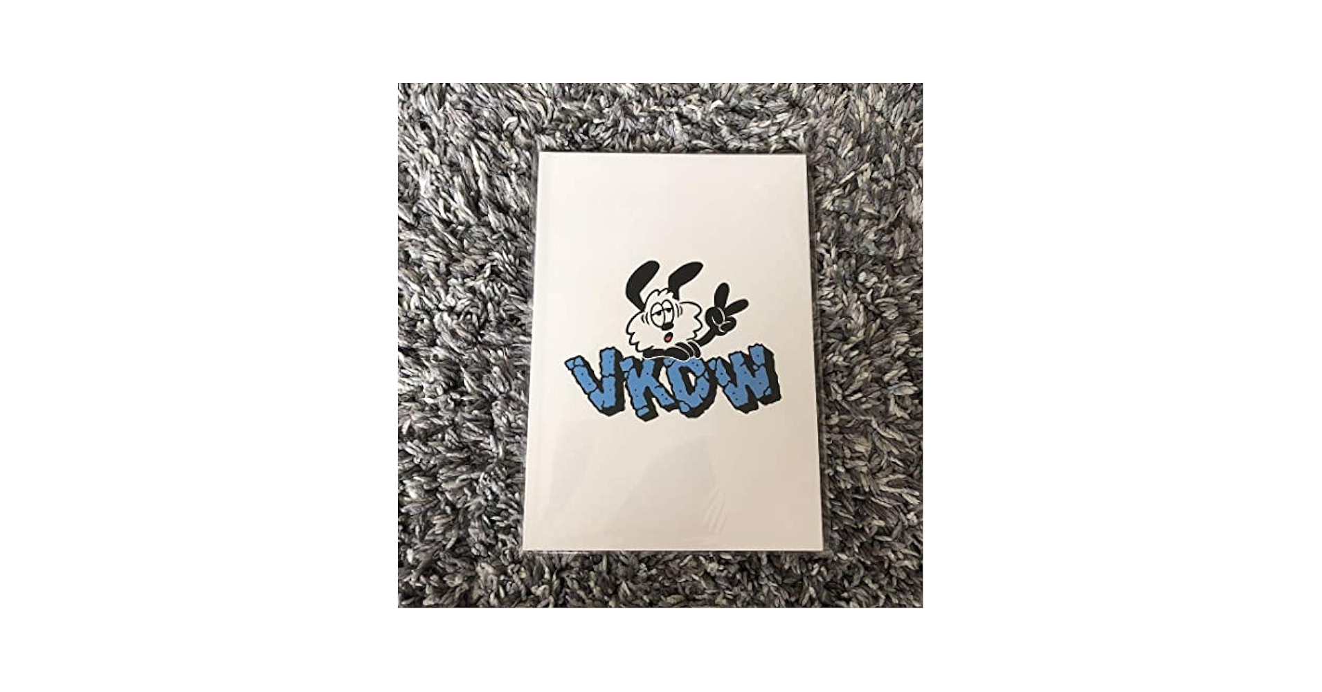 Verdy vkdw アートブック