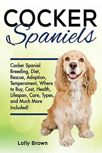 How long do working cocker spaniels live How long do working cocker spaniels live