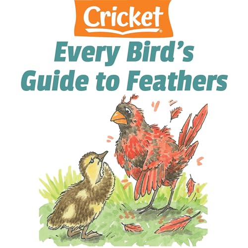 Every Bird's Guide to Feathers by Liz Huyck episode artwork