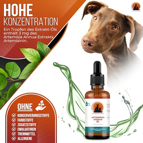 Vitalpfoten Artemisia Annua Öl für Hunde, Katzen und Haustiere 50ml Ratio Extrakt 50:1, alkoholfrei, ohne Zusatzstoffe