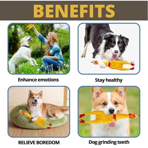 Image of POLKA Latex Chicken Squeaky Toy for Dogs - Funny Rubber Chew Toy with Loud Sound - Reduce Separation Anxiety Toys for Dogs & Puppy - Interactive Pet Toy for Play & Training