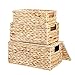 HOCOSY 3er-Set Aufbewahrungskörbe, Wasserhyazinthe Gewebt Allzweckkorb, Aufbewahrungs-Organizer-Korb mit Innenfutter & Hohlgriff Ablagekorb Regalkorb Cubes Aufbewahrungsboxen, für Küche Wohnzimmer Bad