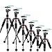 NEEWER Portable Desktop Mini Tripod Aluminum Alloy 20''/ 50cm Desk Tripod with 360 Degree Ball Head, 1/4 inch Quick Shoe Plate for DSLR Camera Video Camcorder, Load up to 11 pounds/5 kilograms