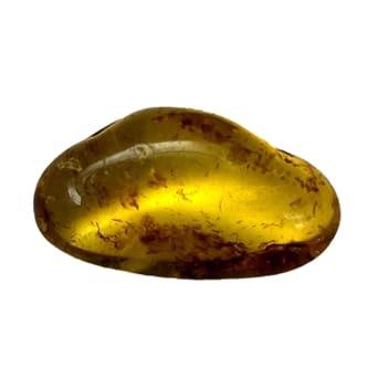 Genuine Fossil Amber Specimen with Insect Inclusions -1" X 9/16" - #34 - Gift Packaged in a Velvet Drawstring Bag