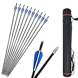 SHARROW 12pcs Flechas de Fibra de Vidrio de Tiro con Arco de 31 Pulgadas Flecha de Práctica Spine 500 con Carcaj de Flechas para Arco Recurvo (Azul)