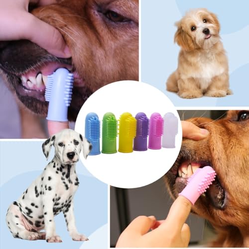 6 Stück Hund Finger Zahnbürste Silikon Haustier Finger Zahnbürste für Hunde Katzen, Hunde Zähne Plaque Hund Zahnpflege mit Aufbewahrungsbox, einfache Zahnreinigung (6 Farbe, Einheitsgröße)