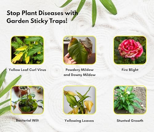 Image of Chipku Yellow Non Toxic Chemical Free Sticky Fly Trap Pads for Insects, Whiteflies, Aphids, Leaf Miner & Thrips (Yellow) (Garden Sticky Trap Pack of 10)