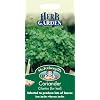 10923 Mr. Fothergill ‘s 10924 Koriander Cilantro Kräutersamen