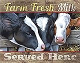 Farm Fresh Milk Tin Sign 16 x 13in by Desperate Enterprise