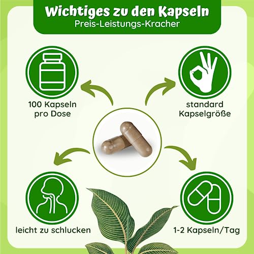 Resveratrol Kapseln 100:1 – 1300mg hochdosiert pro Tag