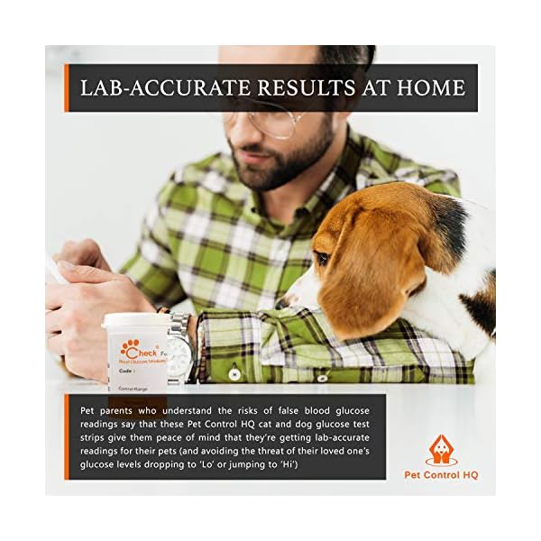 Blood Sugar Glucose Monitor System Calibrated for Dogs and Cats – Accurate Diabetes Testing 2 Calibrated Code-Chips, Lancets, Logbook (50 Test Strips) Blood Sugar Glucose Monitor System Calibrated for Dogs and Cats – Accurate Diabetes Testing 2 Calibrated Code-Chips, Lancets, Logbook (50 Test Strips)