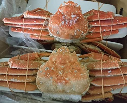 北海道産 ボイルずわいがに 姿 4kg (8-9尾) 冷凍 ※元旦(1月1日)以外は発送可能です。