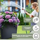 DIKEL B0F18VP56V lato 4