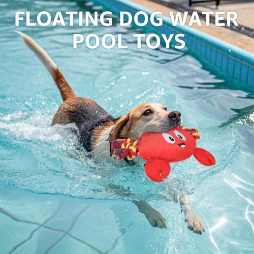 Jouet d'eau pour chiens interactif crabe flottant résistant piscine