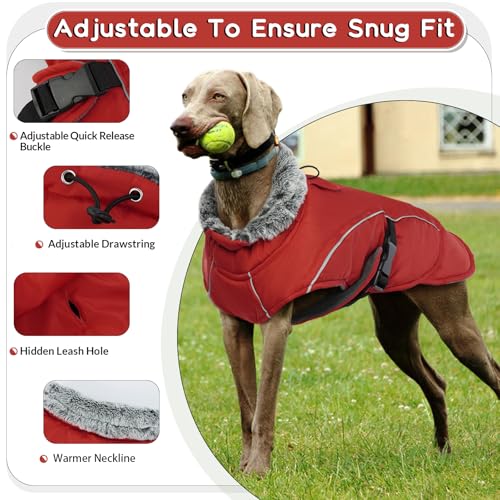 Hundemantel XXL, Hundepullover für große Hunde mit Bauchschutz, Winteranzug für Hunde, Fashion & Sports (Rot, 2XL)