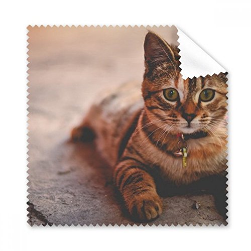 Cadeau animal original : le chiffon de nettoyage pour verres et écrans