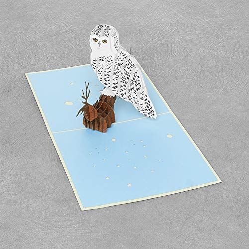 Image of Rykamia Pop Up Owl Card - Blank Envelope, Blank Note, Mother's Day, Thank You
