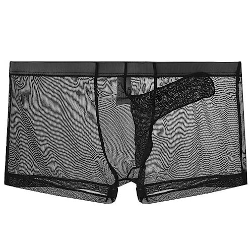 Men's Breathable Mesh Boxer Briefs Underwear Sheer Elephant Nose Boxer Trunks Underwear2